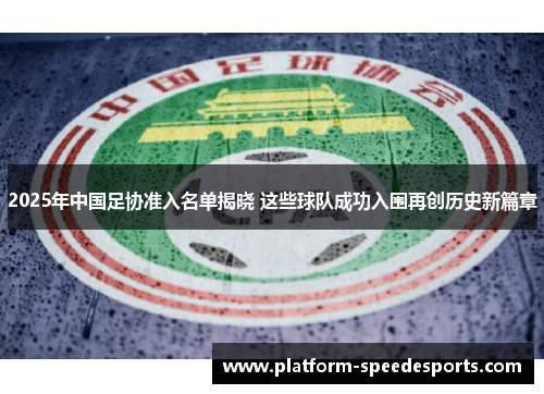 2025年中国足协准入名单揭晓 这些球队成功入围再创历史新篇章