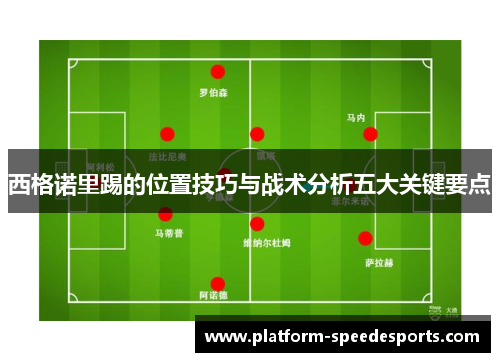 西格诺里踢的位置技巧与战术分析五大关键要点