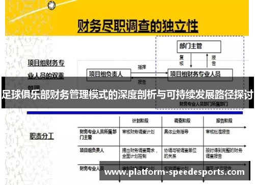 足球俱乐部财务管理模式的深度剖析与可持续发展路径探讨 足球俱乐部财务管理模式的深度剖析与可持续发展路径探讨