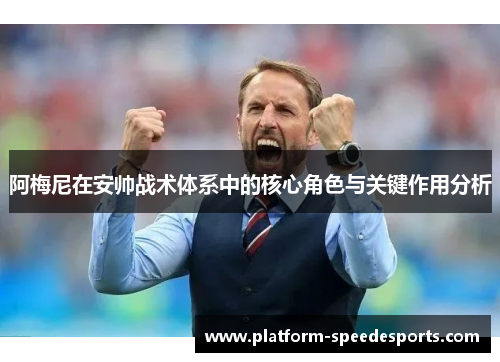 阿梅尼在安帅战术体系中的核心角色与关键作用分析 阿梅尼在安帅战术体系中的核心角色与关键作用分析