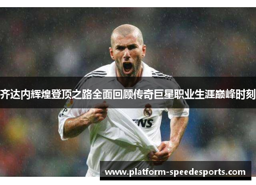 齐达内辉煌登顶之路全面回顾传奇巨星职业生涯巅峰时刻